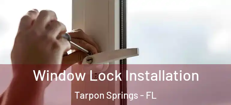 Window Lock Installation Tarpon Springs - FL