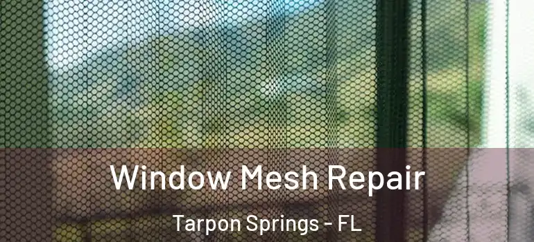 Window Mesh Repair Tarpon Springs - FL