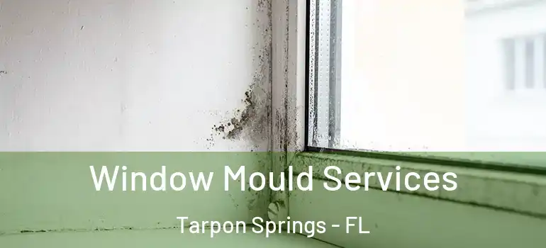 Window Mould Services Tarpon Springs - FL