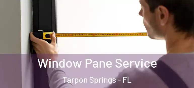 Window Pane Service Tarpon Springs - FL