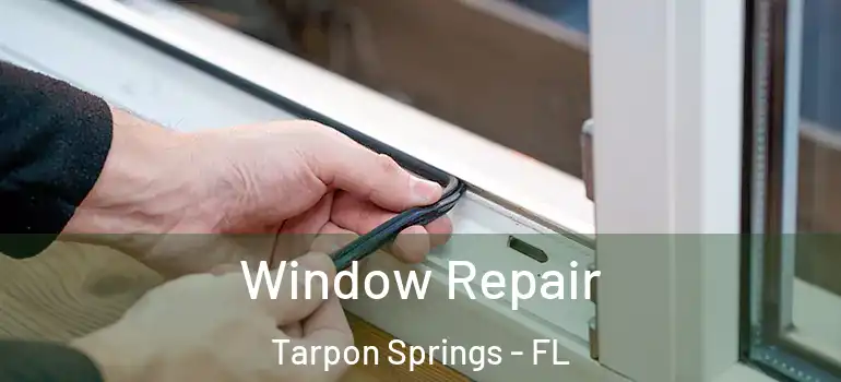 Window Repair Tarpon Springs - FL