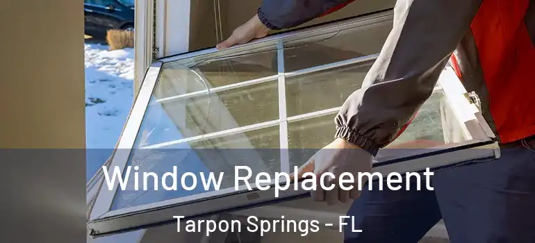 Window Replacement Tarpon Springs - FL