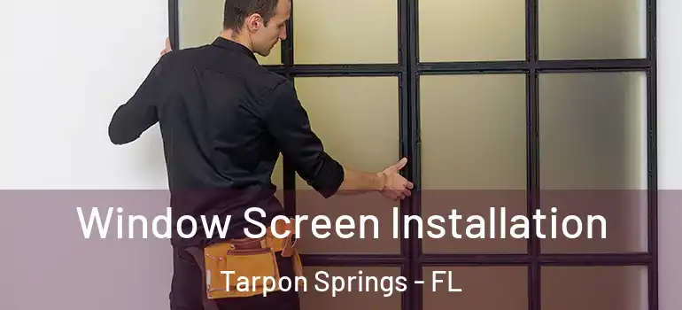Window Screen Installation Tarpon Springs - FL