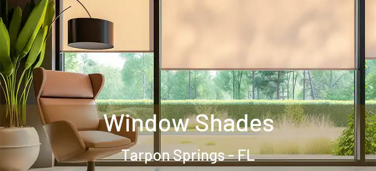 Window Shades Tarpon Springs - FL