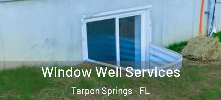 Window Well Services Tarpon Springs - FL